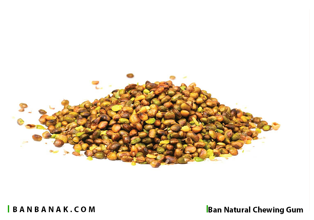 خواص مغز بنه