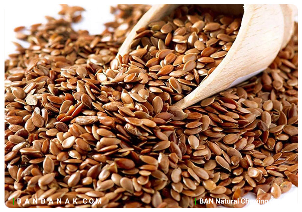 مغز تخم کتان و خواص مغز تخم کتان