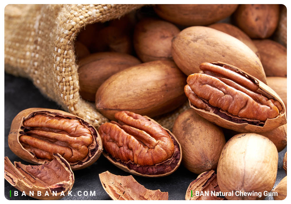 مغز پکان(گردوی آمریکایی) و خواص مغز پکان