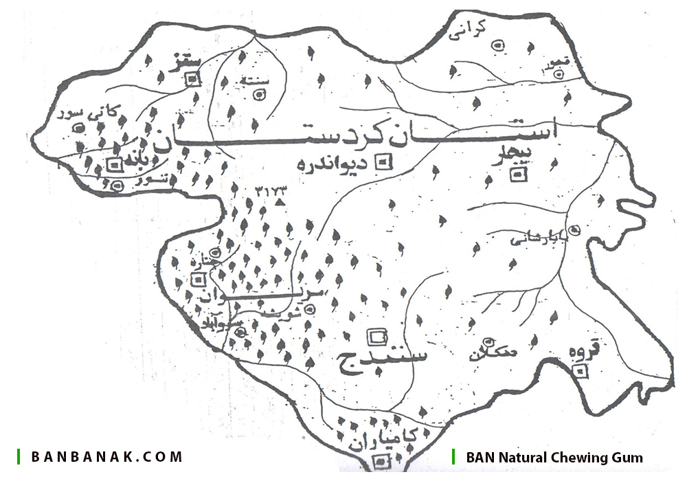 پراکندگی درختان بنه در کردستان