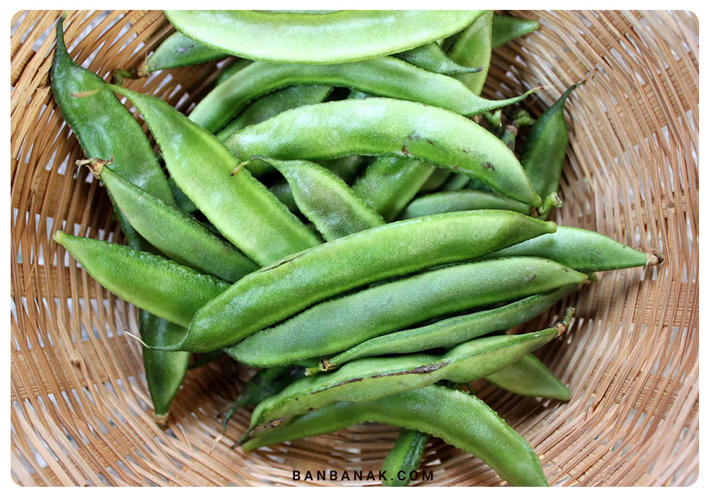 گیاه گوار