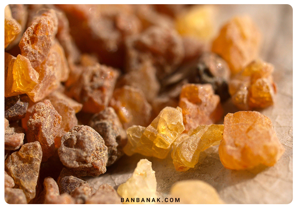 خواص کندر- تفوات کندر و سقز
