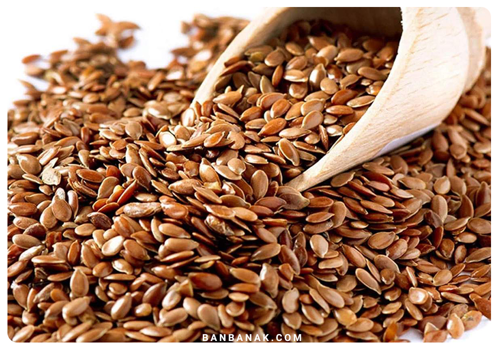 مغز تخمه کتان