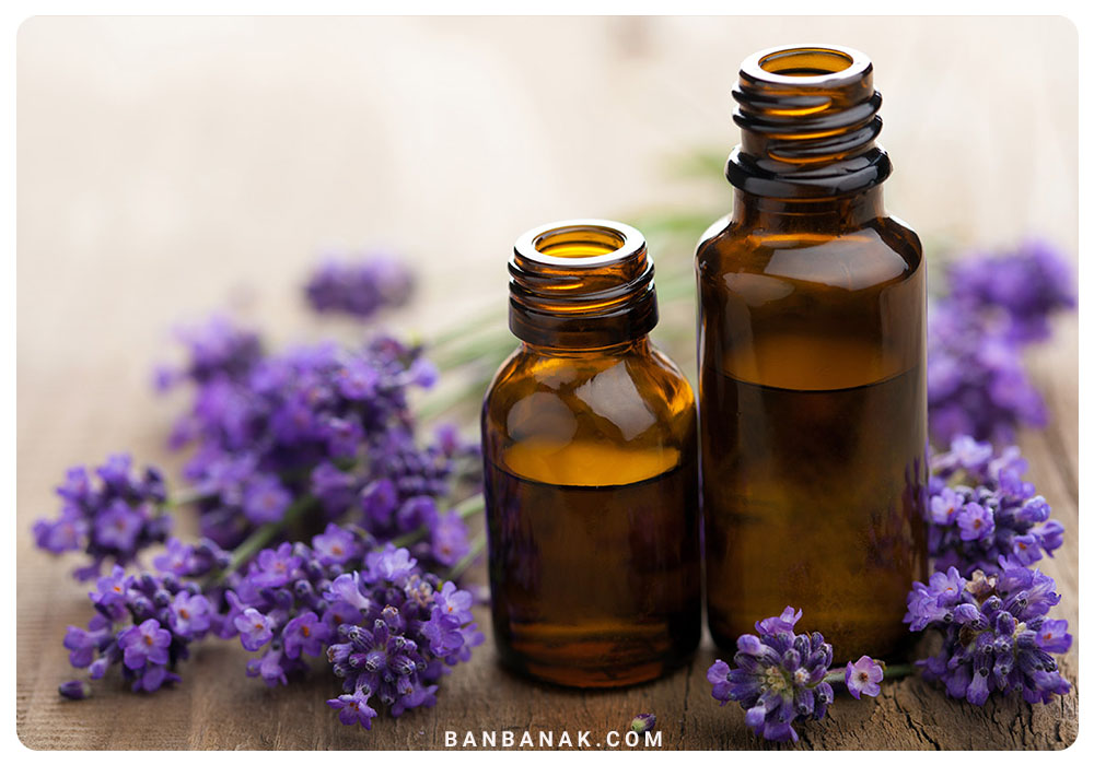 انواع مسکن های طبیعی -روغن اسطوخودوس